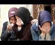 Harfe Zan حرف زن ! (شاهین نجفی)