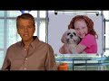 Pets and Flea Bite Dermatitis - Allergic to Fleas