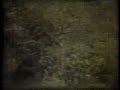 rallye dellelba 1978