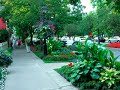 NIAGARA ON THE LAKE