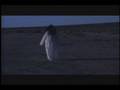 Marwa trailer