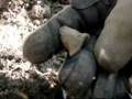 GA dirtfishin Episode 7 - Metal Detecting / Short Relic Hunt in NW Georgia