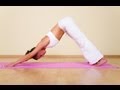 Yoga For Beginners