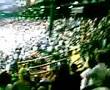 videos de Argentina Brazil Showbol 10