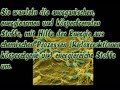Stickstoff - Kreislauf und Chemosynthese Stickstoff - Kreislauf und Chemosynthese