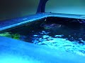 Tunze nano wavebox 6206
