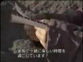 激流中国 第二回 青島(チンタオ)老人ホーム物語 5-6