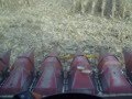 Corn head Auto Steer