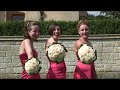 Bandog Occasions professional wedding videography services
