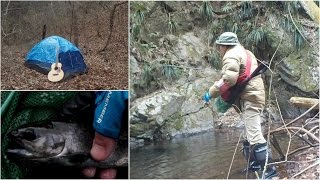 奥多摩・越沢川で釣り&ソロキャンプ、渓流の幻想的な夜を満喫です!!