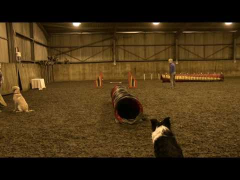 Marie running Oz while Stig is off due to lameness.