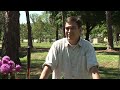 Beginners' Gardening Tips : Vegetable Gardening Instructions for Beginners