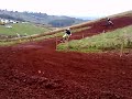 little silver racein