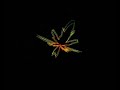 david-jordan-sun-goes-down.html
