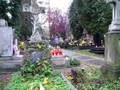 videos de cmentarz rakowicki