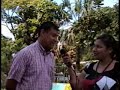Concepcion Batres Usulutan P2
