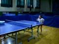 2020 Olympic Game PingPong Champion