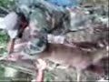 deer hunting