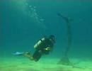 CHANKANAAB DIVING