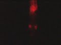 Singlet Oxygen chemioluminescence Singlet Oxygen chemioluminescence