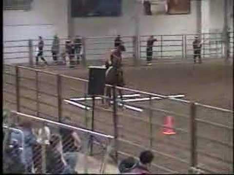 Morgan Horses at '06 NE Horse Expo - ...