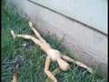 Stop motion- wooden man