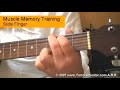 Muscle Memory vs Guitar Scale System?