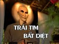 Lịch Sử Bồ Tát Quảng Đức