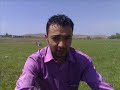 balal? ibo balal? ibo