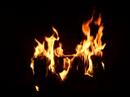 Yule log in Seattle