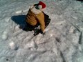 SledJosh