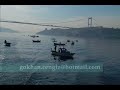 g�khan cengiz  u� hadi
