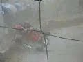 tony flips tony flips