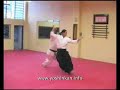 Mori Sensei 7th Dan - Aikido Yoshinkan Jiyu waza 3