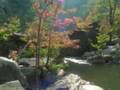 tallulah gorge