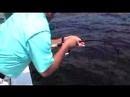 Fishin� With RV EP 4 pt 2 of 2