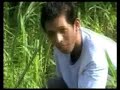 Every Little Thing動画