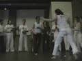 Mestre babuino show part 1