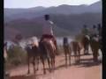 videos de kerkini ippasia -ELODIA