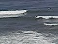 070107 Surfing CS