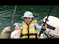 New Telecom ad Fish New Telecom ad Fish