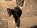 Free-Running-Team_L-T