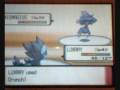Pokemon Diamond Rival, Gyms, & Elite Four Episode 8