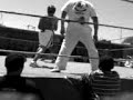 Pelea Box SeNk