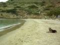 Ios Beach