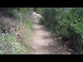 Mishe Mokwa Trail Counterclockwise - 1 Mishe Mokwa Trail Counterclockwise - 1