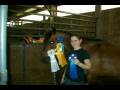 videos de Me & Pogo 2008