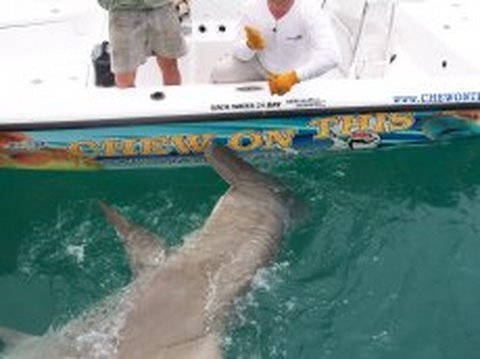 1000 Pound Hammerhead "Chew On This" ...