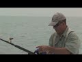 1000 Pound Hammerhead HammerTime! CHEW ON THIS shark fishing