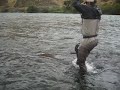 Matt lands a Steelhead on the Deschutes River. The tug is the drug. 9-15-07